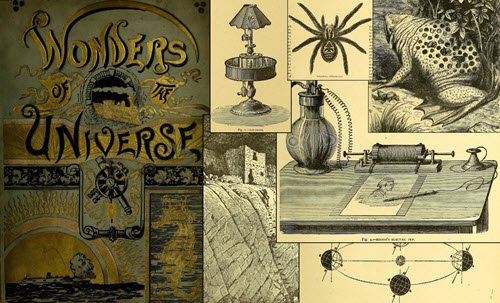 A compilation of the Wonders of the Universe cover with images from inside the book including a tarantula, a toad, Eddison’s electric pen, a building at the top of a cliff and the earth rotating around the sun.